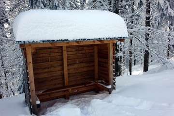winter im bayerischen wald - sankt engelmar
