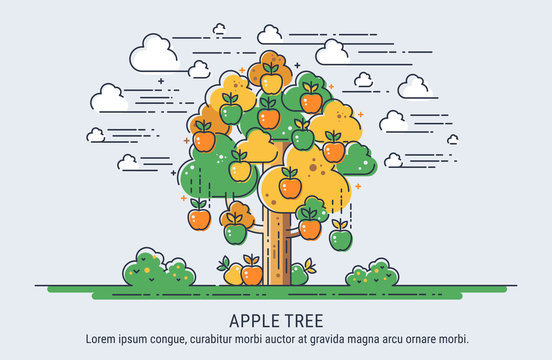 Apple tree. Season collecting apples. Thin lines vector illustration.
