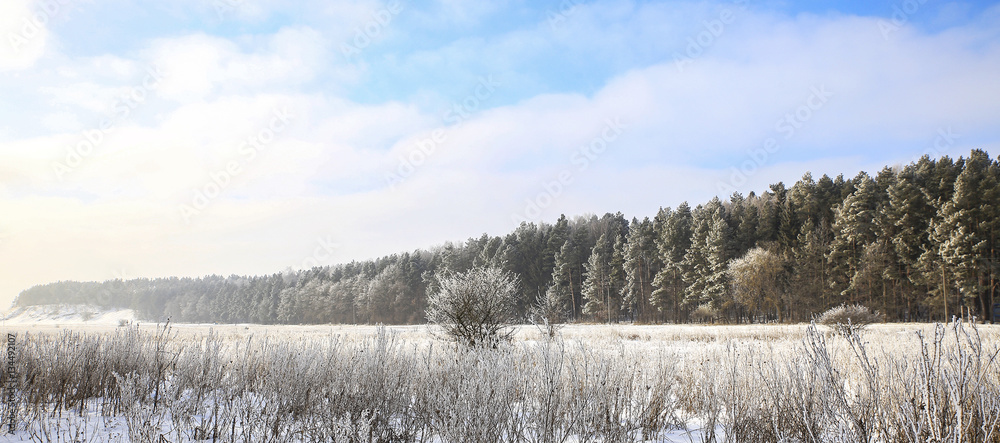 Wall mural nature in winter