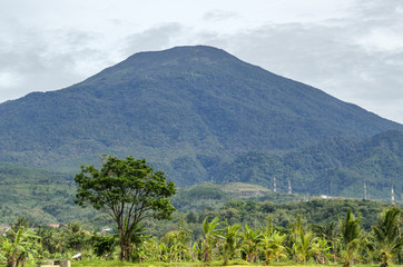 Fototapeta premium mountain