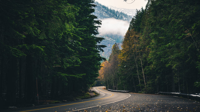 Fototapeta Winding autumn forest road.