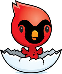 Cartoon Cardinal Egg