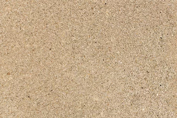 Foto op Plexiglas seamless texture of sand © auris