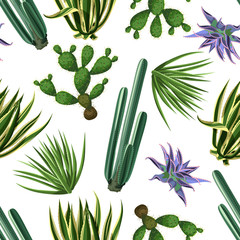 Seamless pattern with cactuses and succulents set. Plants of desert