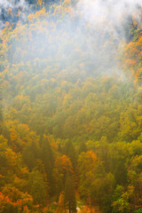 The mountain autumn landscape with colorful forest