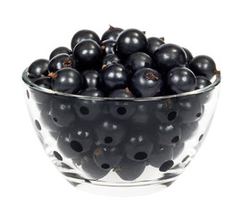 currant berries in a cup of glass