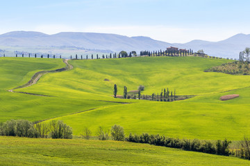 Fototapeta na wymiar Green fields in a Tuscan rural landscape