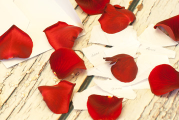 broken red rose petals and letter pieces break up concept