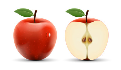 Integer and cut apple isolated on white background. Stock vector