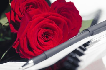 red roses on piano keys