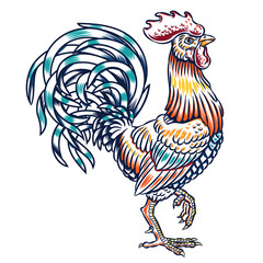 Vector illustration of a cock.