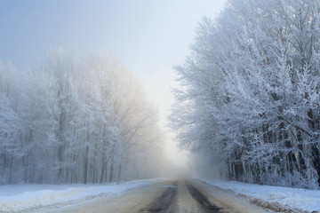 Road at the winter landscape in the forest