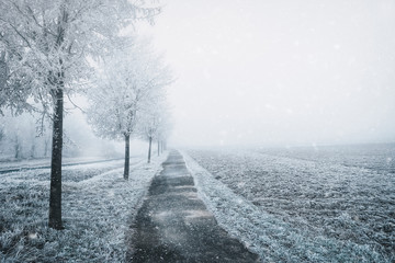 Nebel im Winter