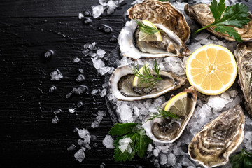 Frische austern 