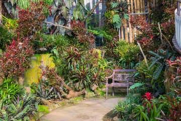 beautiful tropical asia style with green red color garden idea with wooden chair, concrete pavement and bamboo wall