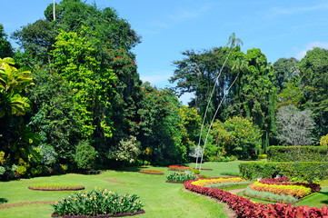 Obraz premium magnificent tropical park with flower beds, lawns and trees