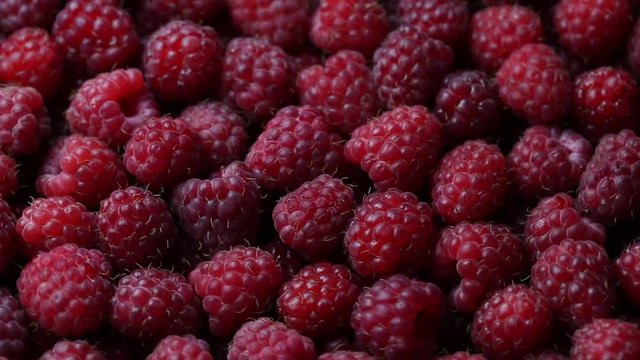Rotating ripe raspberry. Turning closeup berries