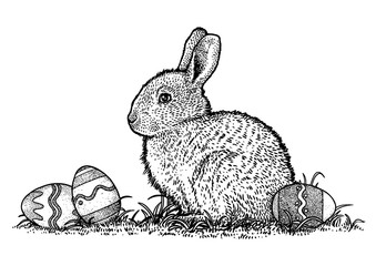Bunny, easter, egg, drawing, engraving, illustration