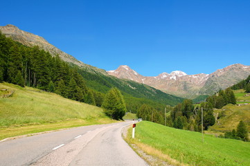 Fototapeta na wymiar Strasse im Schnalstal in Südtirol im Naturpark Texel 
