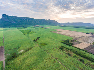 Aerial View of Sugar Cane Farming after Harvest in Front of Beau