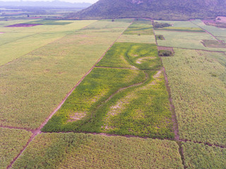Aerial View of Sugar Cane Farming in Front of Beautiful Mountain