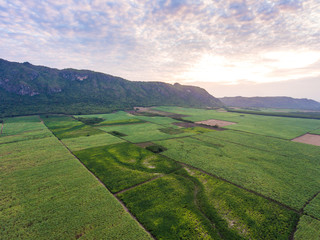 Aerial View of Sugar Cane Farming in Front of Beautiful Mountain