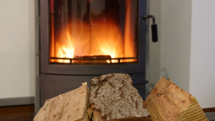 Firewood and fireplace in the apartment