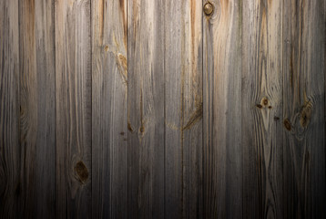 Natural wooden background tree texture.