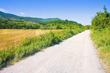 Fototapeta na wymiar Tipical Tuscany country road called 