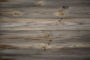 Natural wooden background tree texture.