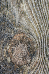 Wood grain frost pattern