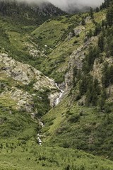 Fototapeta na wymiar Stream Running Down a Mountain / Grand Tetons