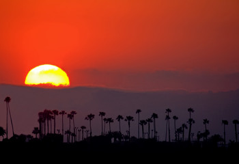 CALIFORNIA SUNSET