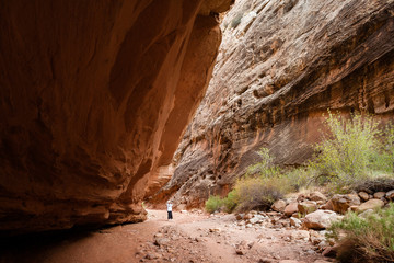 Woman takes pictures at The Narrows at Grand Wash, Capitol Reef