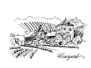 Vineyard village farm view, black and white hand drawn sketch, vector illustration
