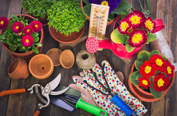 Spring gardening - tools and flowers on the wooden table