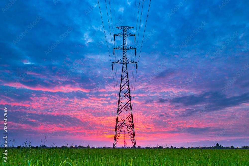 Wall mural high voltage electrical transmission line and tower in the green rice field during sunset