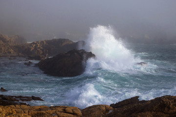 Point Lobos Surf