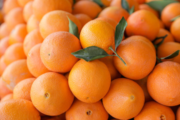 Fresh ripe oranges for sale.