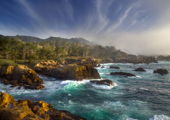 Point Lobos Surf