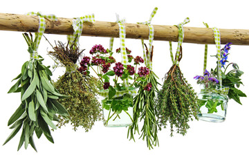 salbei, thymian, oregano...