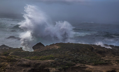 Fototapeta na wymiar Point Lobos Surf