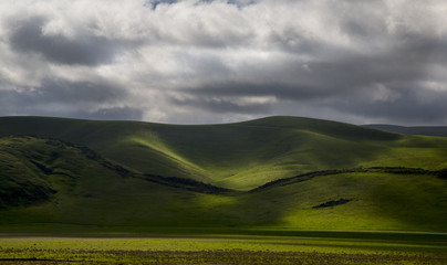 California Pastureland