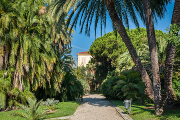 Fototapeta na wymiar Beautiful garden with palm trees and a fountain in San Remo
