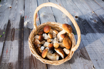 Fresh boletus mushrooms in the basket on wooden table 