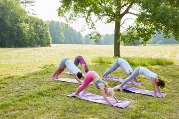 Gruppe beim Yoga Workshop