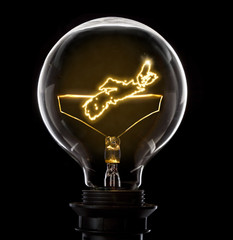 Lightbulb with a glowing wire in the shape of Nova Scotia (serie