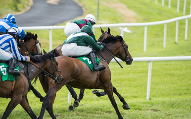 Race horses and jockeys galloping in a race