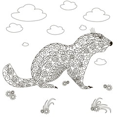 Hand drawn groundhog, black and white anti stress vector illustration