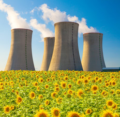 
Nuclear power plant Dukovany with sunflower field, Czech Republic

